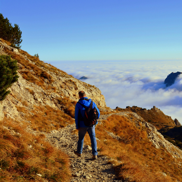 Altitude Sickness Medication