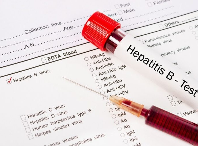 Hepatitis B Immunity